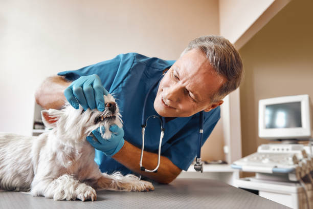 Best Same-Day Emergency Dentist in Lakesite, TN